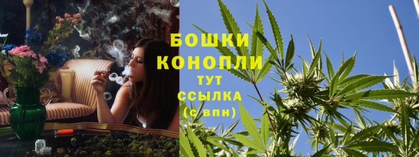 сатива Дмитриев