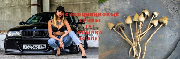сатива Дмитриев